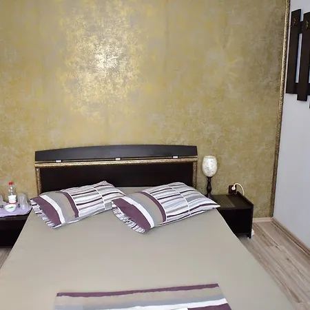 Pensiunea Dely_cios Guest house 3*